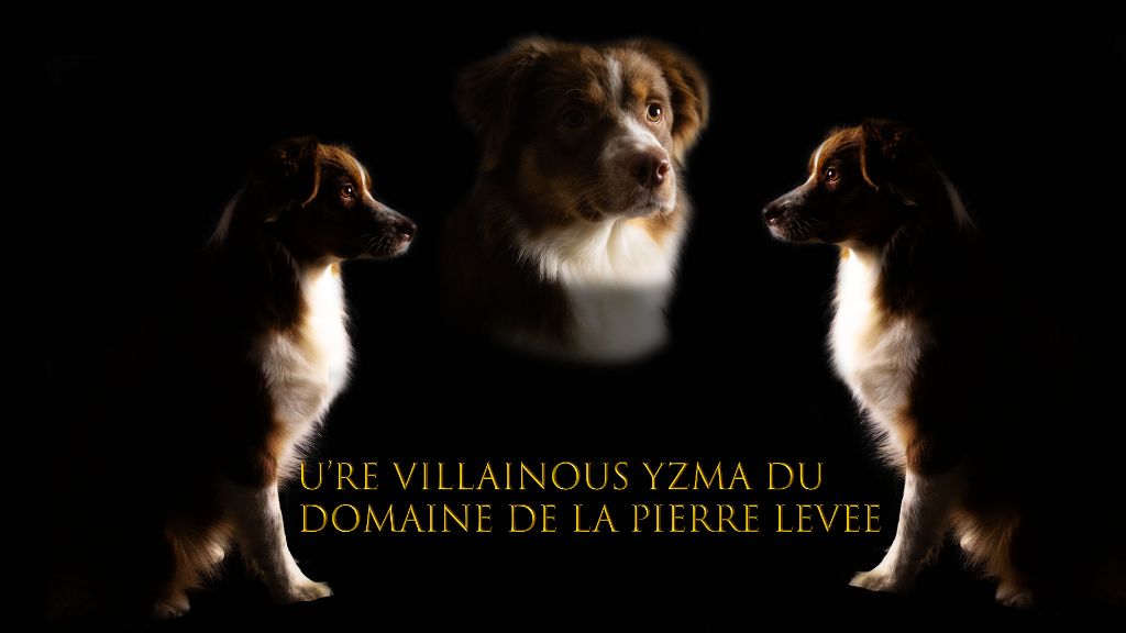 U're villainous yzma du domaine de la pierre levée